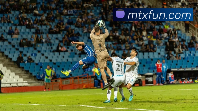 满天星娱乐城官网平台生态图