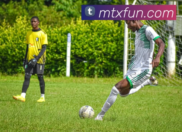 满天星娱乐城官网全站App